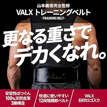 山本義徳監修 トレーニングDVD 5点セット 新品未使用品 VALX トレーニングチューブ 筋トレ チューブ 【山本義徳監修